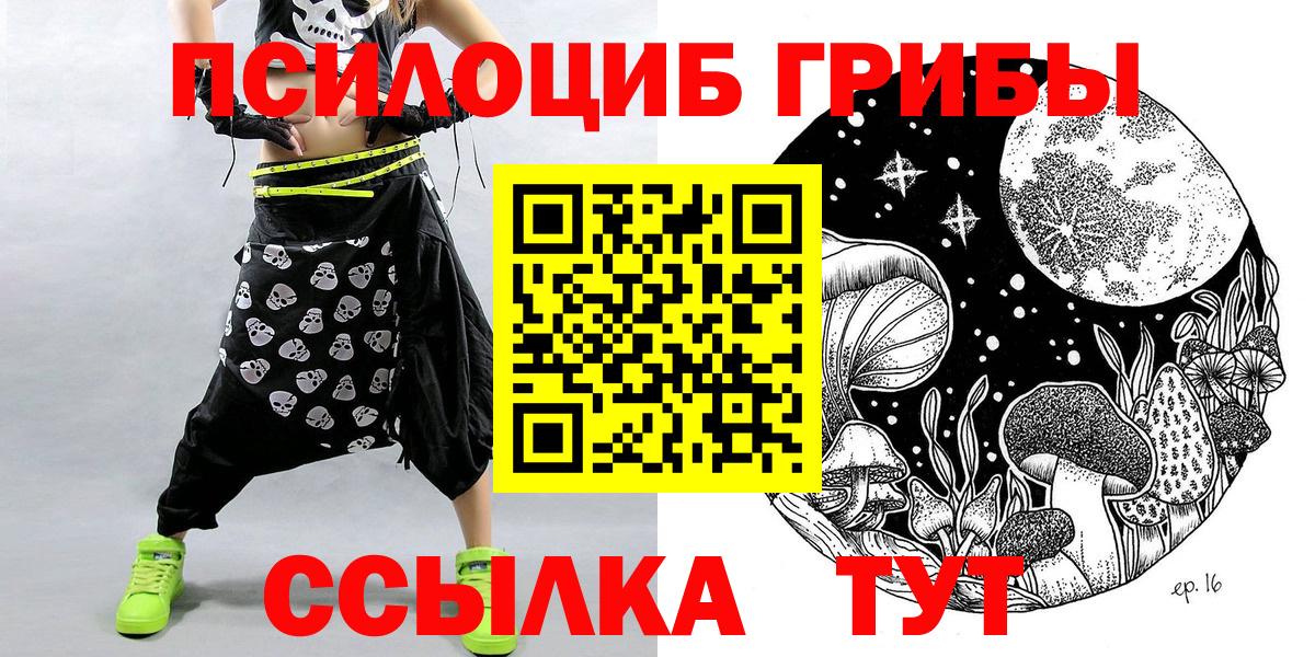 Дивногорск  Псилоцибиновые грибы Psilocybine cubensis  Вход с VPN 